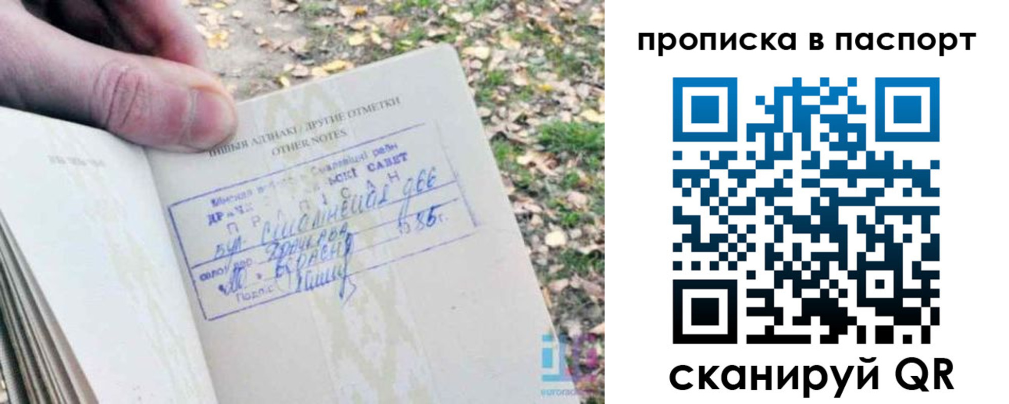 купить прописку в Славгороде